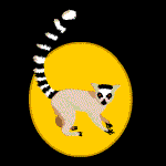 lemur