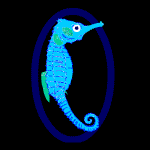 seahorse